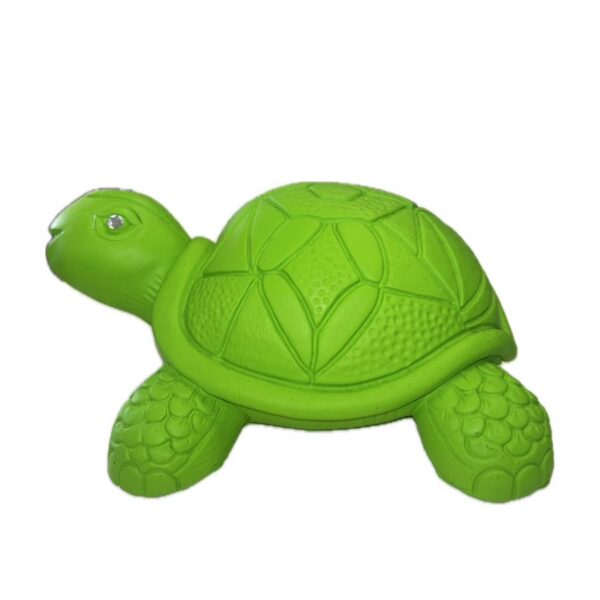 Tartaruga decorativa Verde