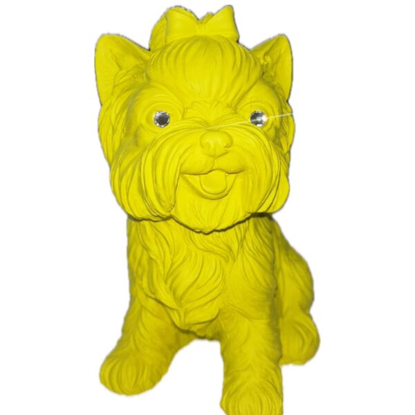 Cane Yorkshire Giallo