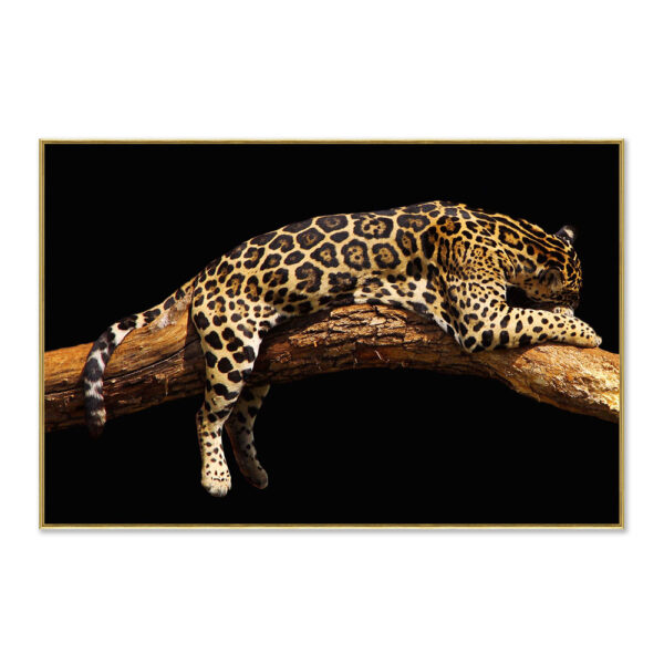 Quadro Leopardo Relax