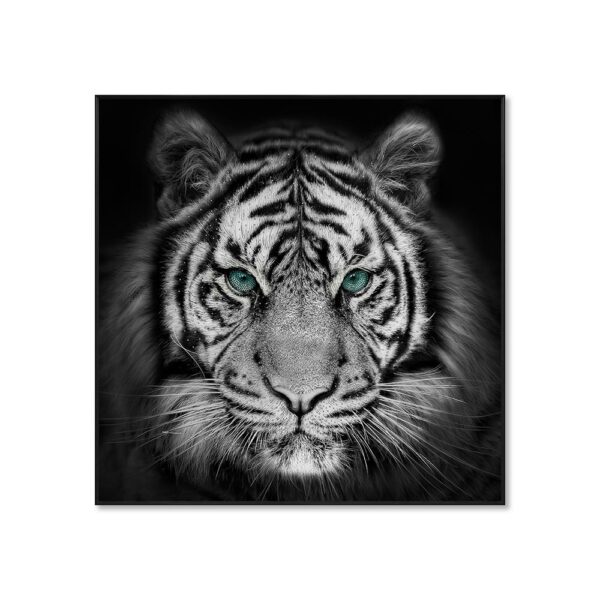 Quadro Gli Occhi della Tigre