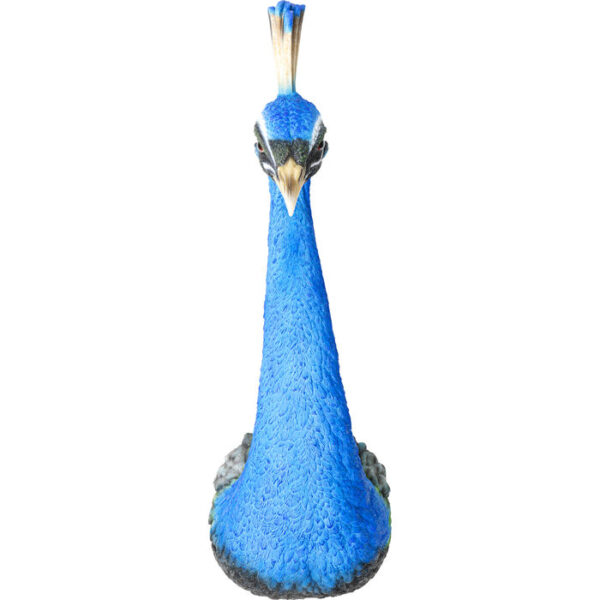 Decorazione da parete Peacock