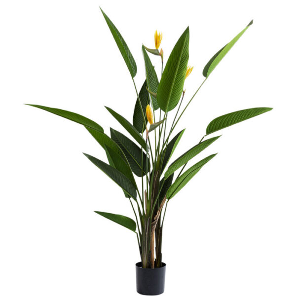 Pianta decorativa Paradise Flowers 190cm