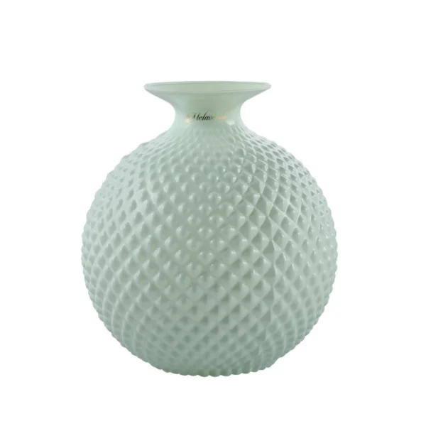 Vaso Javier Salvia Lucido