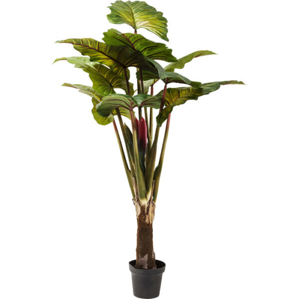Pianta decorativa Rainforest Green 160cm