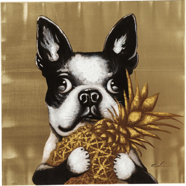 Quadro Touched Dog with Pineapple 80x80c