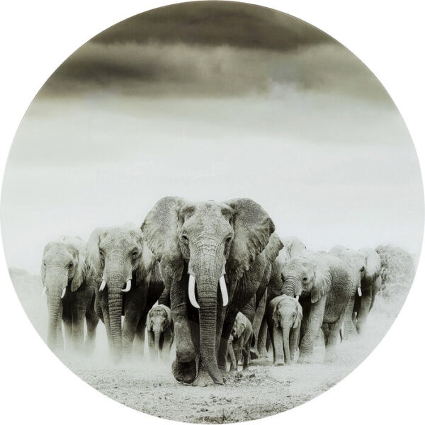 Quadro in vetro Elephant Walk Ø120cm
