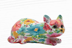 Gatto multicolor