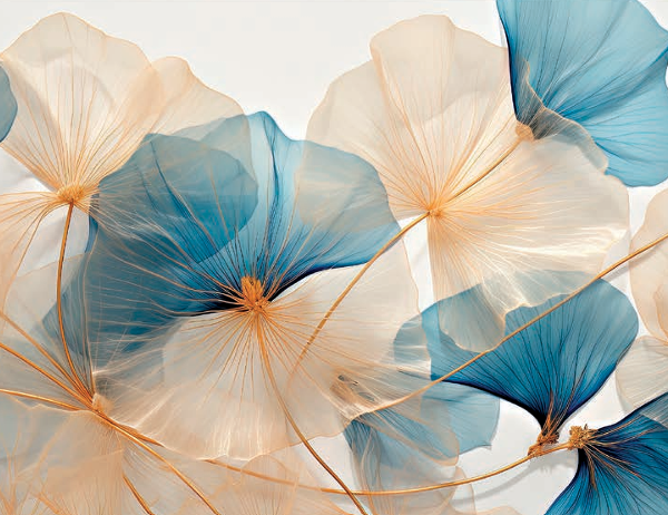 Quadro Flowers Nemophilia