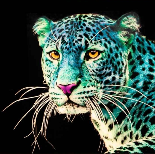 Quadro Blue leo